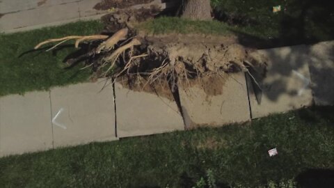 Milwaukee neighbors still waiting for sidewalk repairs, more than a month after August storms