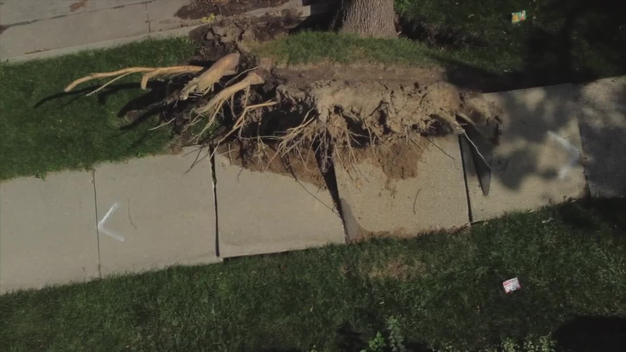 Milwaukee neighbors still waiting for sidewalk repairs, more than a month after August storms