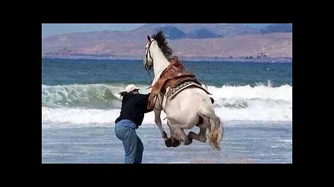 WORLD BEST FUNNIEST🤣 Dog vs men 🤣 funny video> Don't Try Laughing 🤣 clips
