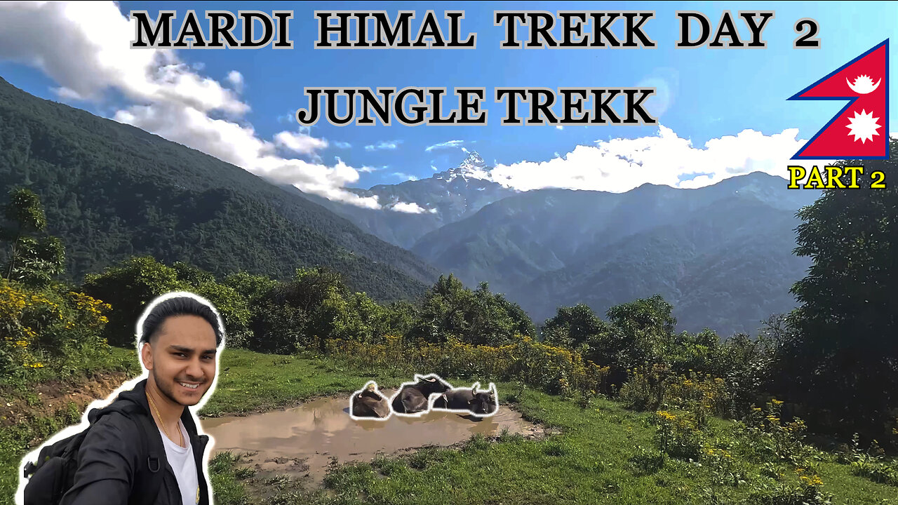 Himalayan Jungle Trekking | Mardi Himal Trekk Day 2 (part 2/3)