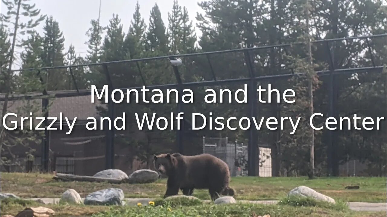 Montana and the Grizzly and Wolf Discovery Center