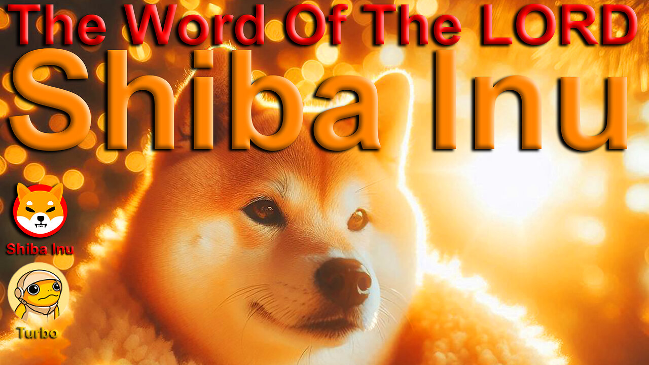 Shiba Inu 🦊 The Word Of The LORD plus Turbo Discussion 🦊 Wealth Transfer 🦊 $SHIB 🦊(SHIB) 🦊 #ShibaInu