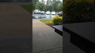 Another set of #gangstalking twin white Tesla's!