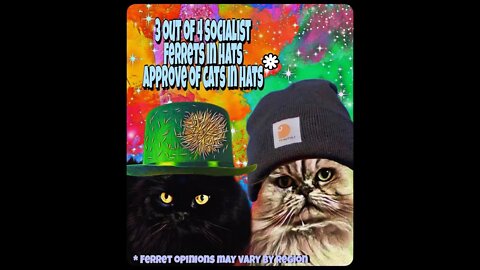 a set of tunes for your saturday