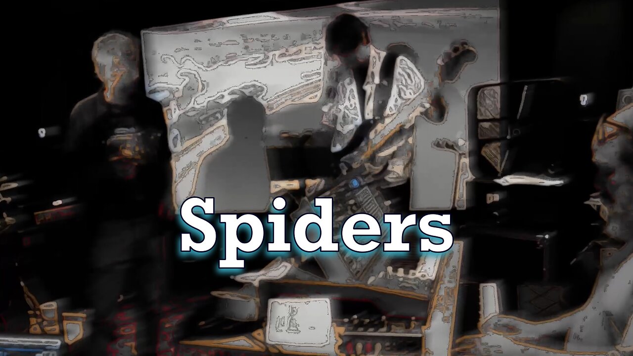 Spiders