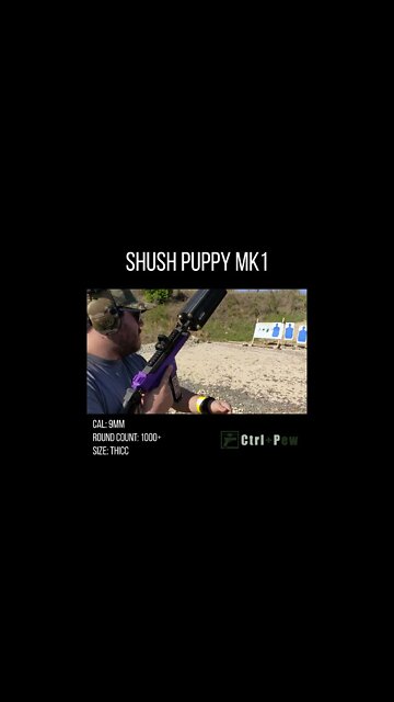 #Shorts The Last Test of the Shush Puppy Suppressor