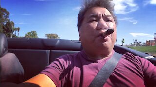 Cruising with my pup in my Ferrari