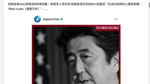 🟨德國網民評論安培被刺死亡也是多元的🟨
