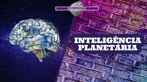 INTELIGÊNCIA como um PROCESSO de ESCALA PLANETÁRIA