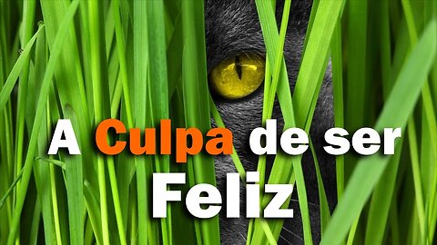 A Culpa de Ser Feliz – Porque escolhemos o caminho mais difícil?