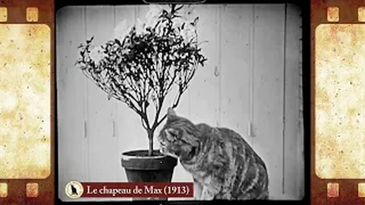 Le chapeau de Max (1913) 🐱 Cat Movies 🎥🐈