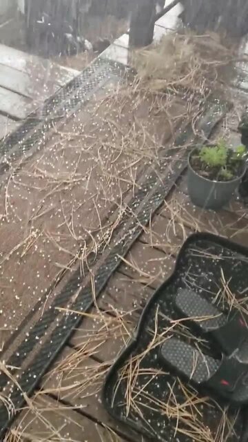 Lakeside, Arizona video of hail by Dan Masters