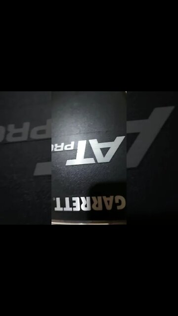 How Deep Can A Garrett AT Pro Detect | Quinn Trim #Shorts