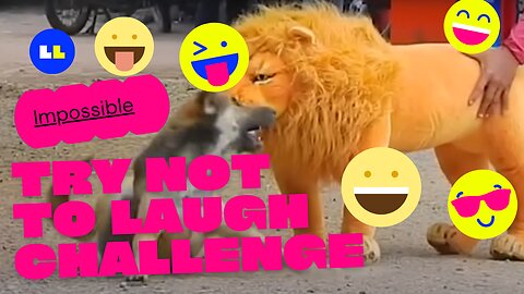 Funny animal video || Try not to laugh challenge | Most viewed funny Video🤪🤪😆😆