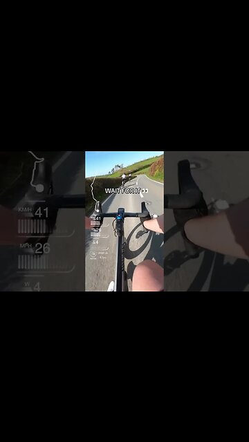 I’M SORRY… I COULDN’T RESIST