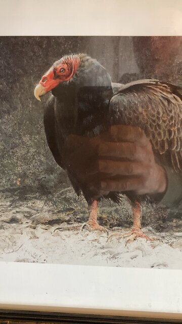 Today I went to church