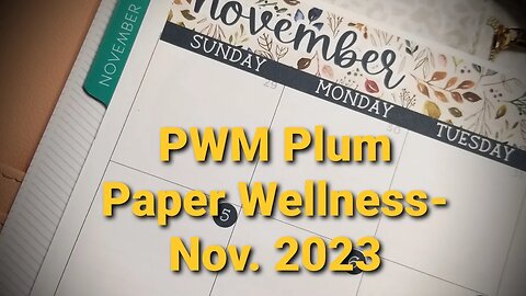 Plan With Me Plum Paper Discbound Wellness - November 2023 Monthly