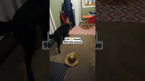 Who's lovely girl or boy is this?