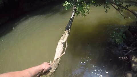 Pestering a river snake
