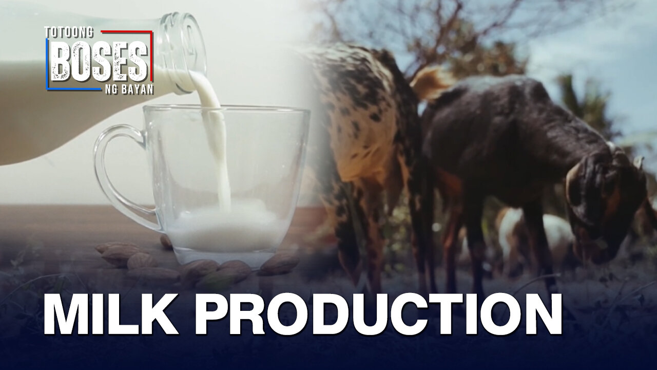 DA, aminadong malayo pa ang Pilipinas pagdating sa milk production kumpara sa ibang bansa