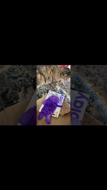 Milo got a present from grandma