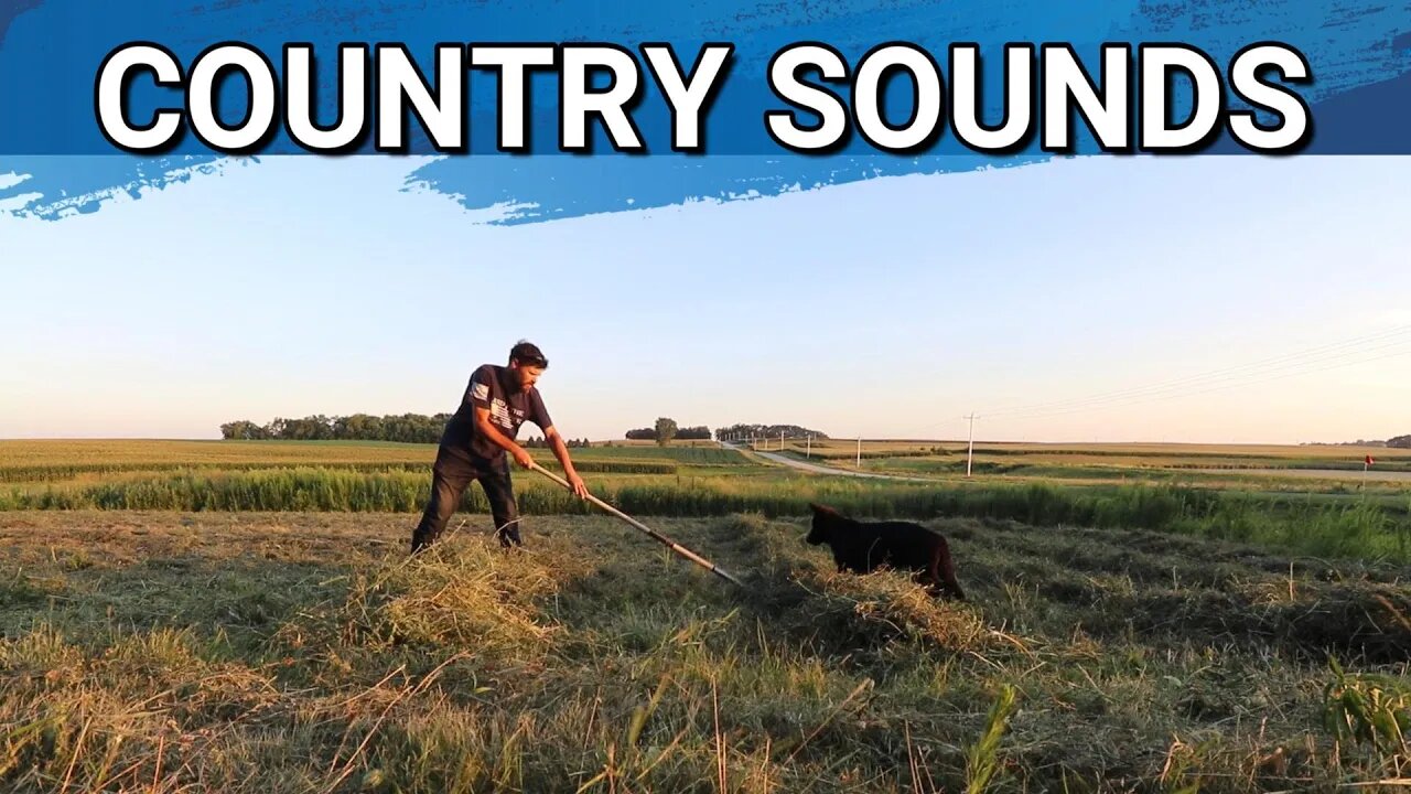 Freewarden Rakes A Hayfield By Hand | Sounds To Fall Asleep To | Country Sounds At Twilight