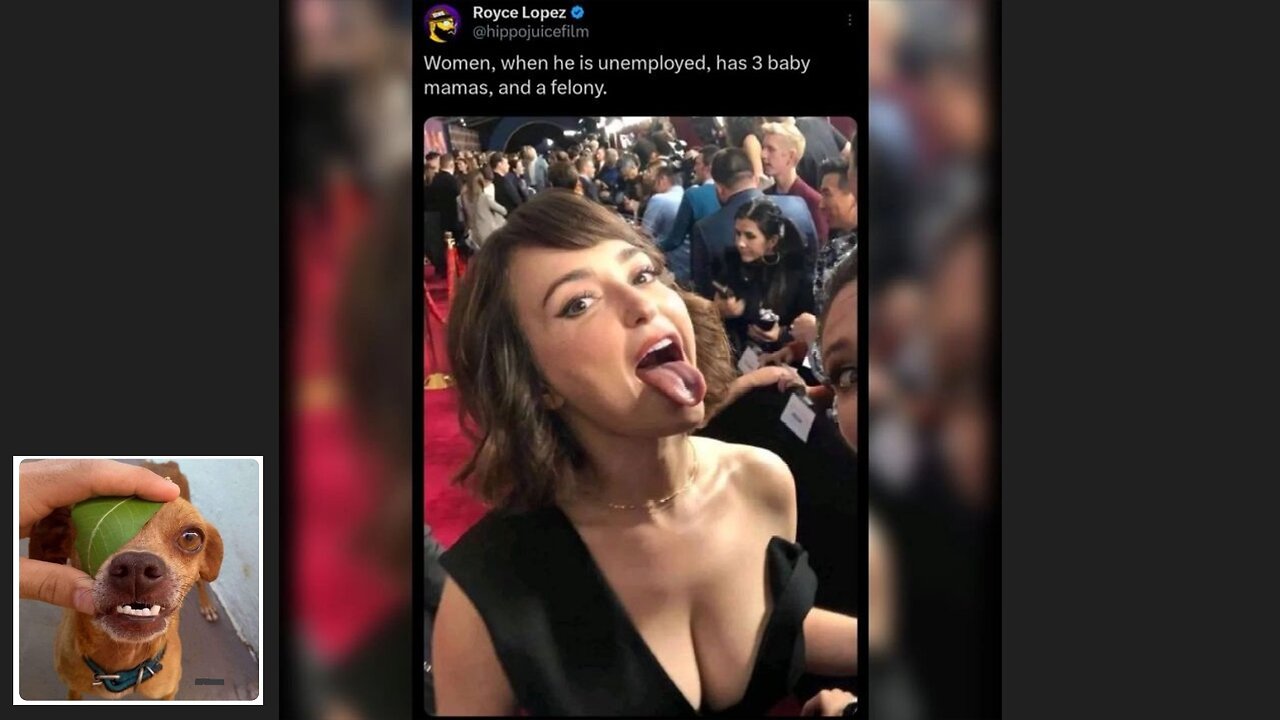 Memes That Will 99.0032% Make You Laugh.