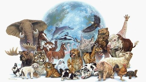 Linda Li. Vivere nella Nuova Terra