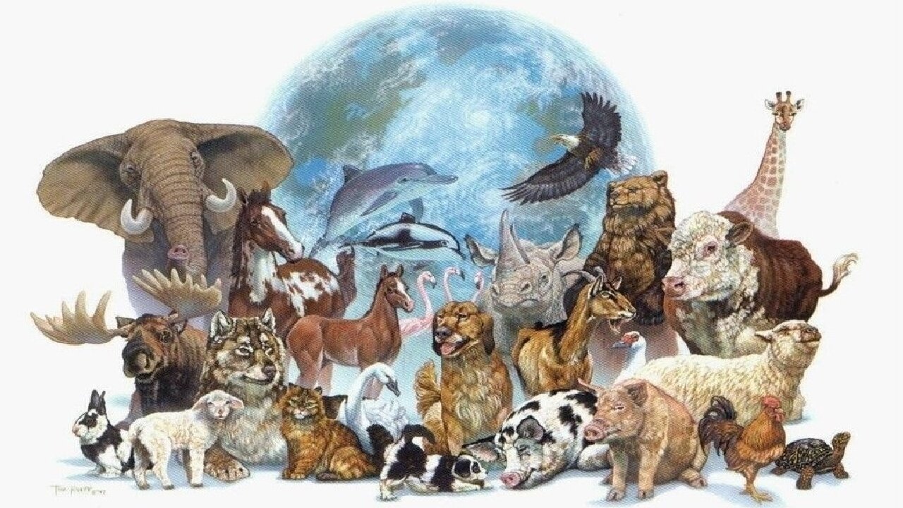 Linda Li. Vivere nella Nuova Terra