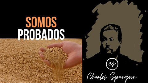 Somos probados (Amós 9:9) Devocional de hoy Charles Spurgeon