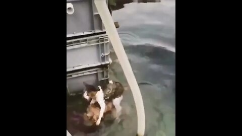 help others you will be rewarded in time.