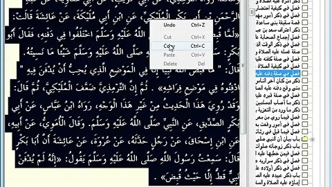 205 المجلس رقم 205 موسوعة 'البداية والنهاية' للحافظ المفسر ابن كثير، والمجلس رقم 129 من السيرة