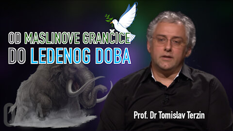 OD MASLINOVE GRANČICE DO LEDENOG DOBA - Prof. Dr Tomislav Terzin