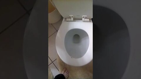 1970's American Standard Cadet Toilet (2nd shot)