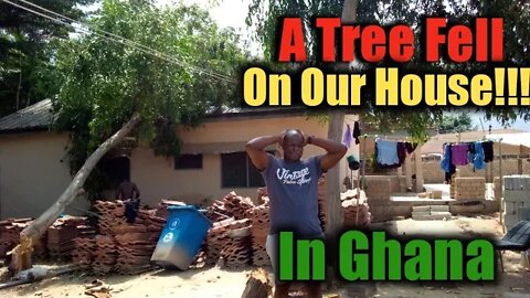 How Our House Was Hit By A Tree | Why We Cut Our Trees| Ghana Update