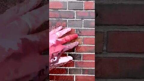 2022 trending shorts video for Entertain Your Mood #shorts #trending #viral #youtube #blackshorts