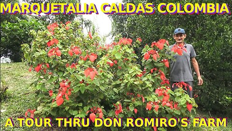 MARQUETALIA CALDAS COLOMBIA : A TOUR OF DON ROMIRO'S FARM IN THE JUNGLE : RESOURCE RICH LIFE PT.3 🇨🇴