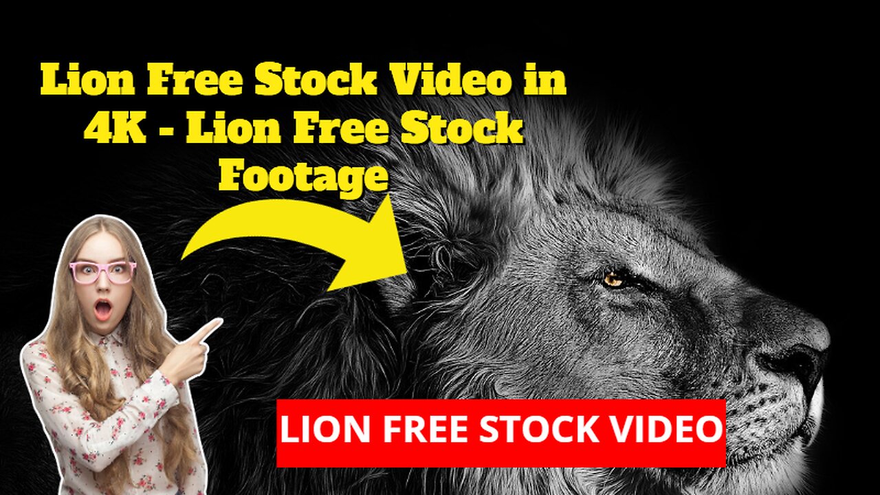 Lion Free Stock Video in 4K - Lion Free Stock Footage