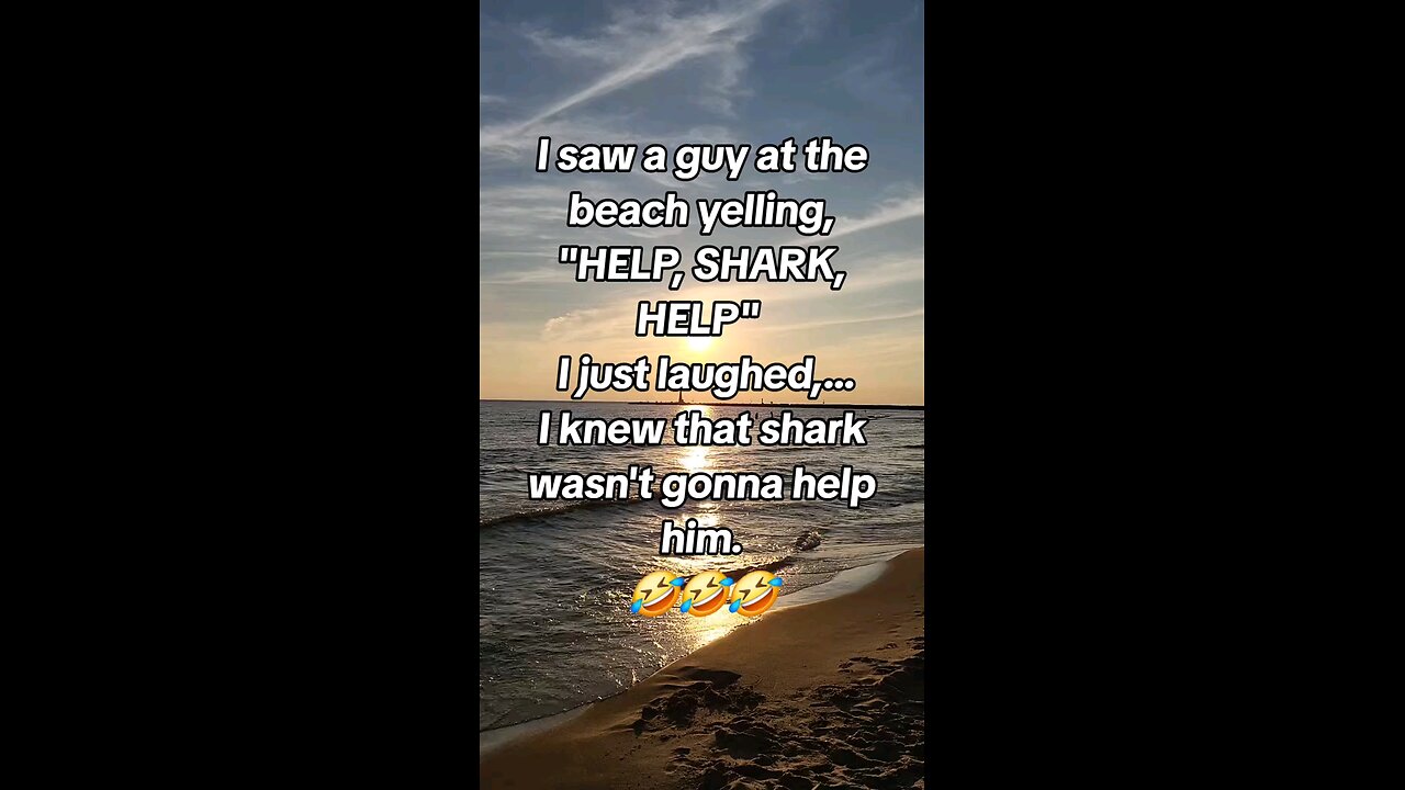 Shark!