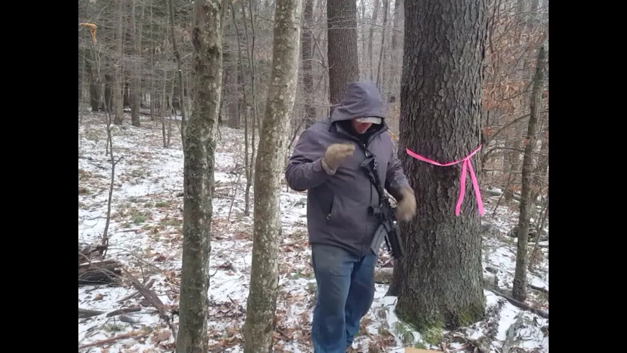 Umarex / Colt AR 22 at 170 yds