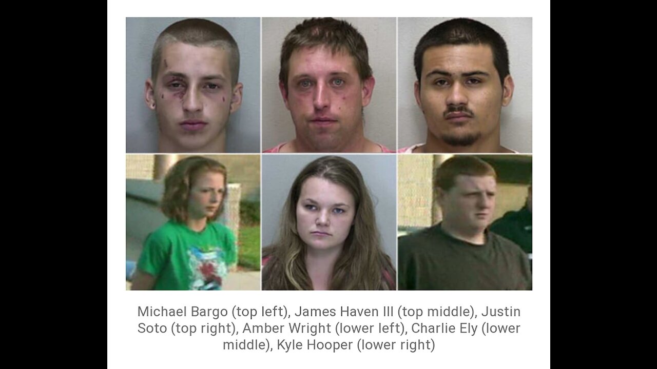 My opinion on Seath Jackson murder plot and case