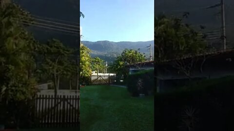 vídeos shorts do kawai #shorts