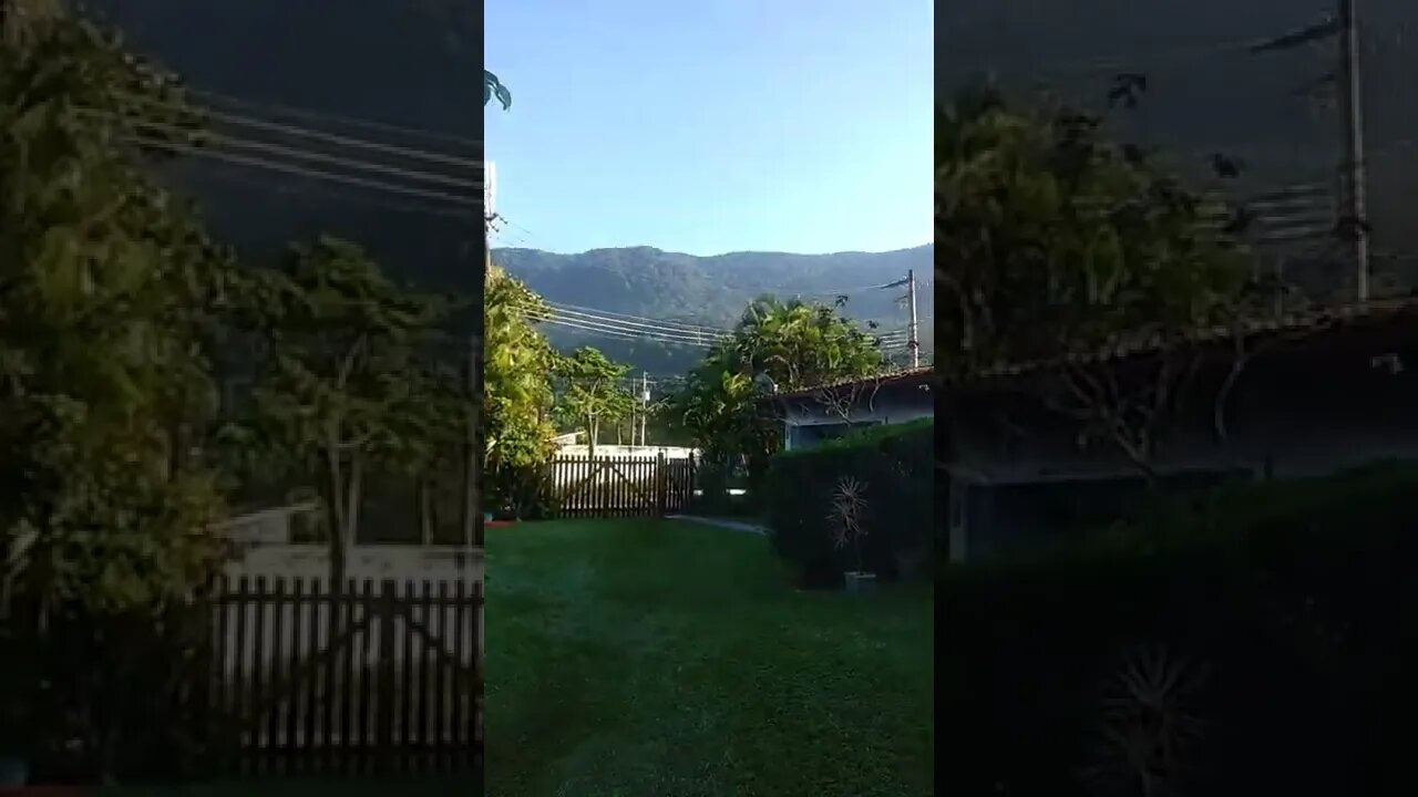 vídeos shorts do kawai #shorts