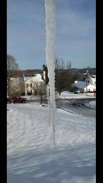 Beautiful but deadly !