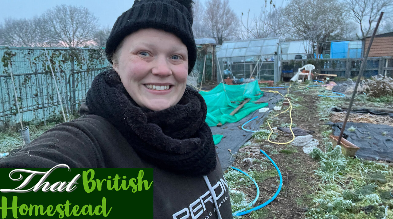 Never thought I would end up doing THIS: Allotment Garden