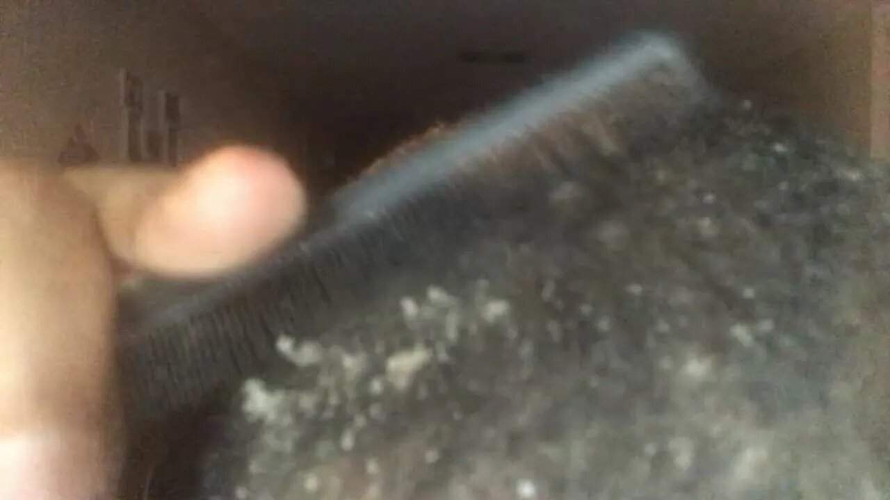 Easy Dandruff Scratching, It just falls out!