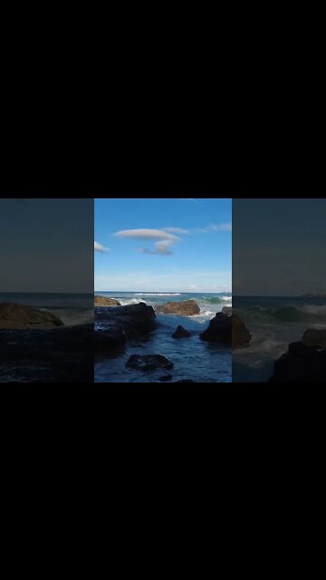 Currumbin Beach Tourbbb