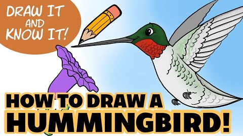 Draw It & Know It | How to Draw a Hummingbird