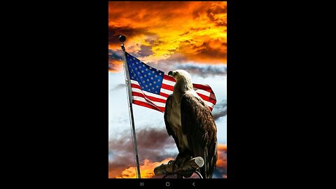 Demokraten verlieren Tag für Tag mehr an Zustimmung die Menschen lieben Trump .