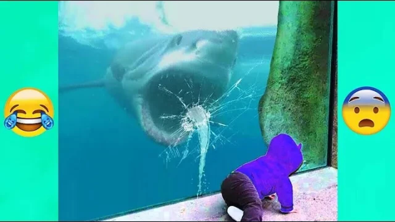 If You Look Away You LOSE $1,000,000 fearful Try Not To DIY & Laugh Challenge joy